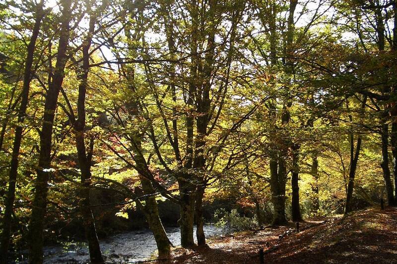 Conocer la Comunidad de Madrid: La Sierra del Rincón